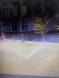 Affordable garden landscaping for outdoor upgrades in Homestead, FL by Complete Sprinkler Service