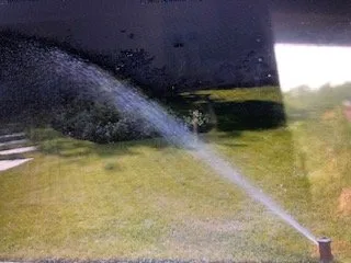 Reliable outdoor landscaping in Homestead, FL by Complete Sprinkler Service