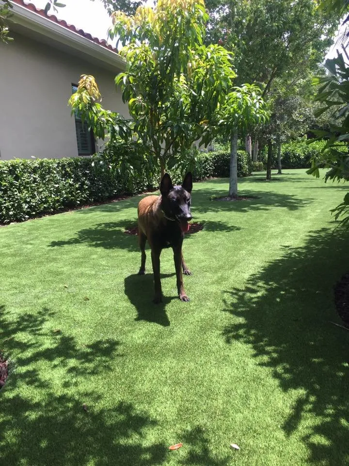 Top-rated landscape design in Stuart, FL - Complete Synthetic Turf