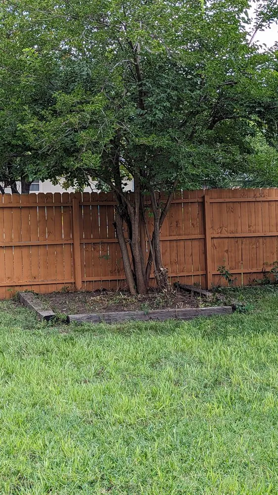Trusted yard cleanup service experts serving Wichita, KS - Complete Tree Care & Landscaping