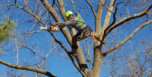 Custom lawn care service experts serving Wichita, KS - Complete Tree Care & Landscaping