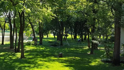 Trusted lawn care service for beautiful yards across Wichita, KS - Complete Tree Care & Landscaping