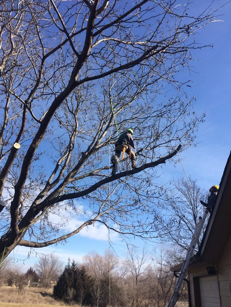 Top-rated outdoor landscaping in Wichita, KS by Complete Tree Care & Landscaping