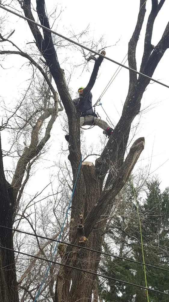 Custom landscaping services in Wichita, KS by Complete Tree Care & Landscaping