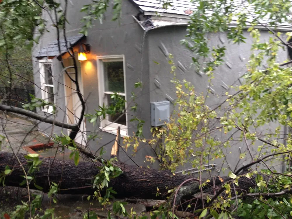 Affordable lawn mowing service in Berkeley, CA by Complete Tree Care