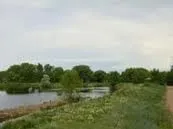 Local outdoor landscaping experts serving Fountain, CO - Complete Tree Care