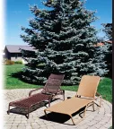 Trusted yard maintenance for beautiful yards across Fountain, CO - Complete Tree Care