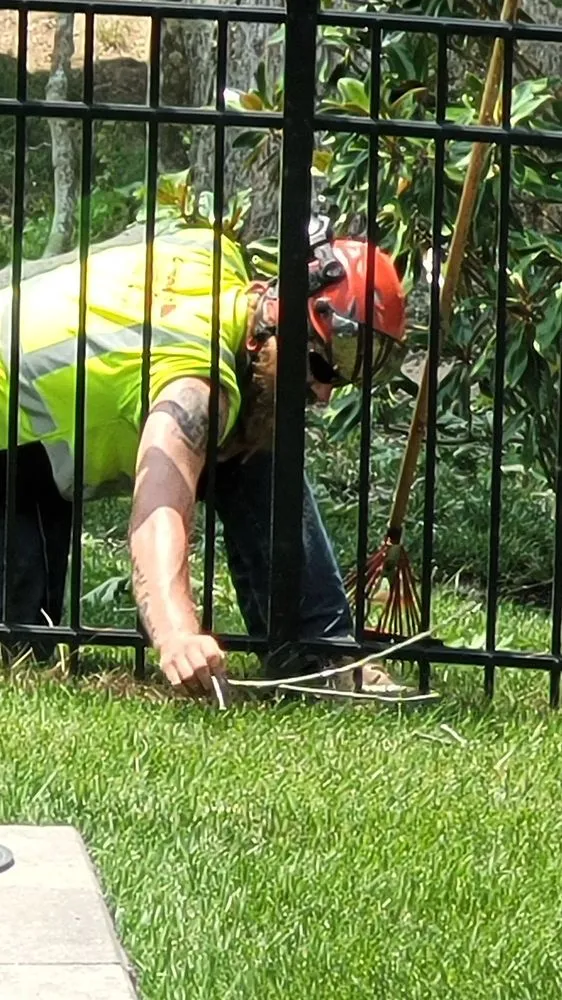 Top-rated garden landscaping in Millsboro, DE by Complete Tree Care