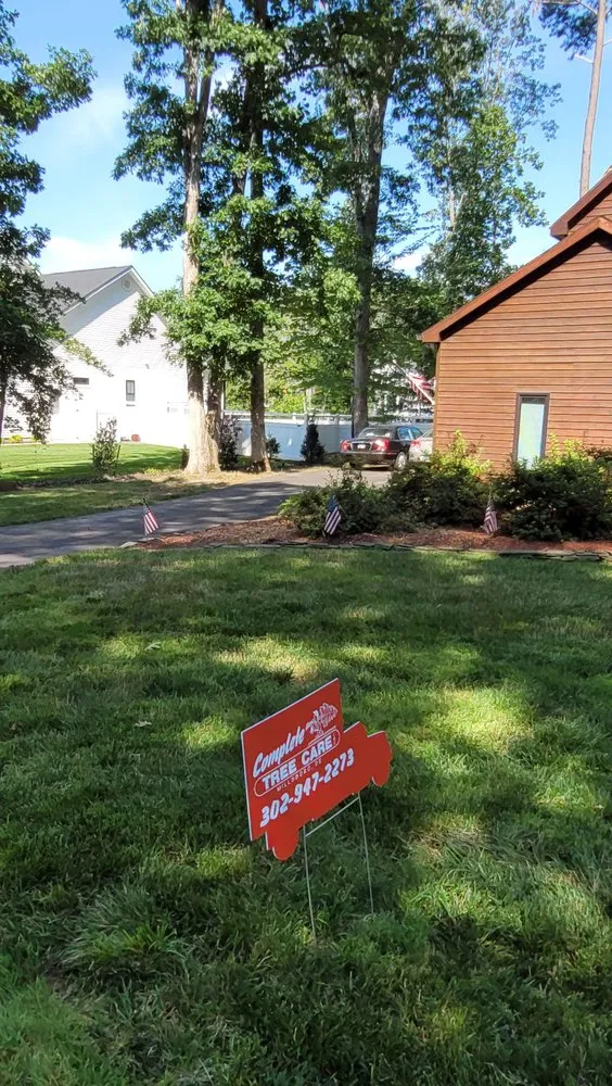 Trusted yard cleanup service in Millsboro, DE - Complete Tree Care