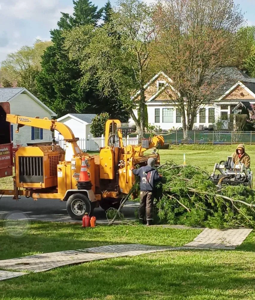 Trusted landscape design experts serving Millsboro, DE - Complete Tree Care