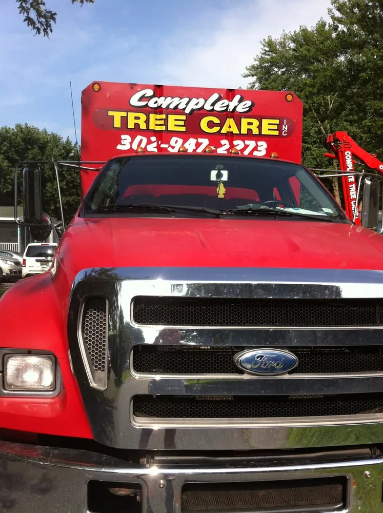 Reliable yard maintenance in Millsboro, DE - Complete Tree Care