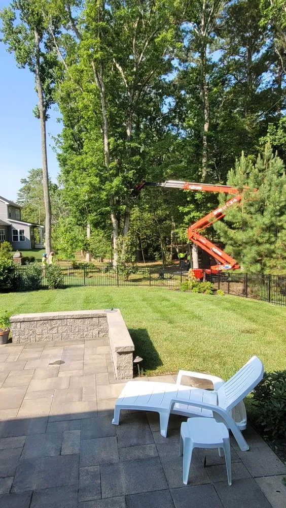 Local landscape installation in Millsboro, DE - Complete Tree Care