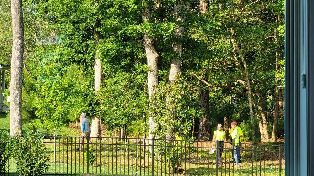 Expert garden landscaping for beautiful yards in Millsboro, DE by Complete Tree Care