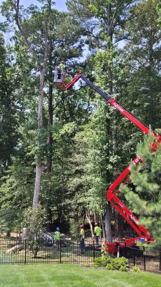 Reliable lawn mowing service in Millsboro, DE by Complete Tree Care