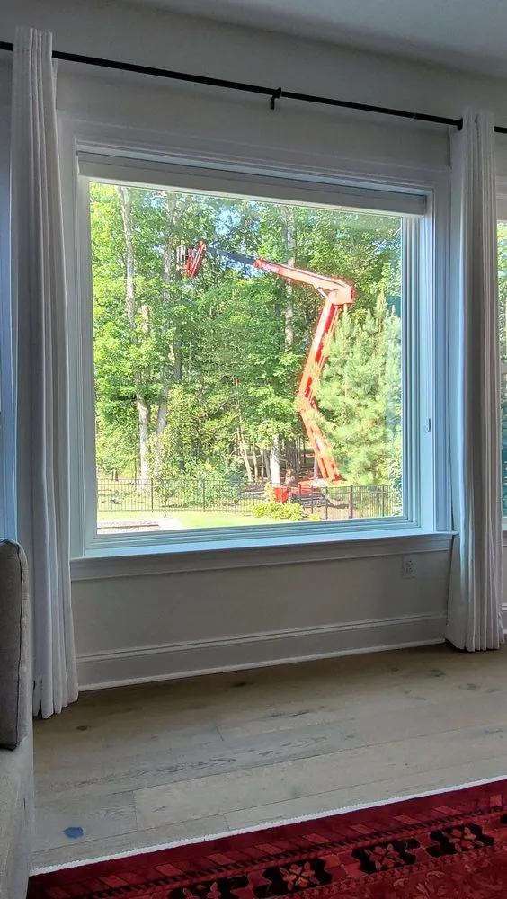 Professional landscape installation for residential properties across Millsboro, DE - Complete Tree Care