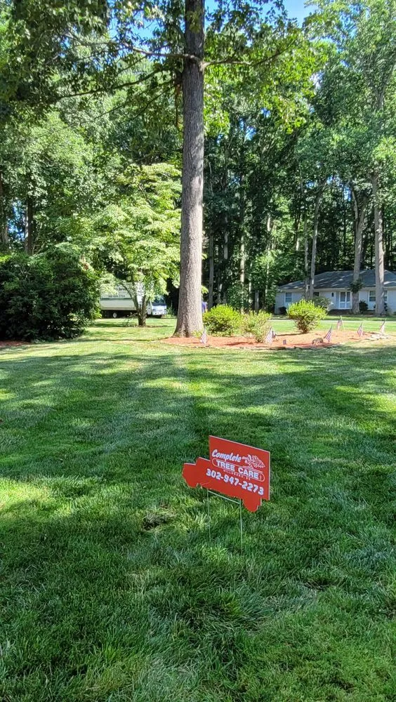 Expert outdoor landscaping for residential properties across Millsboro, DE - Complete Tree Care