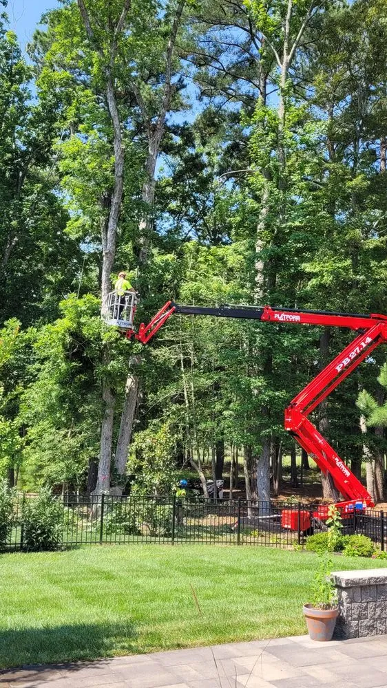 Expert lawn mowing service for residential properties in Millsboro, DE by Complete Tree Care