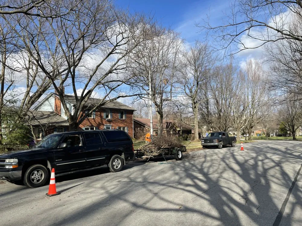 Expert lawn care service in Frankfort, KY by Complete Tree Service & Landscaping