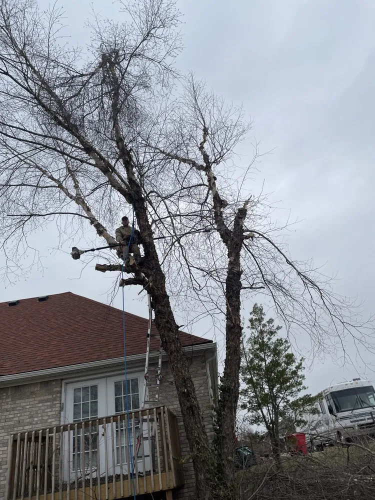 Trusted landscaping services in Frankfort, KY by Complete Tree Service & Landscaping