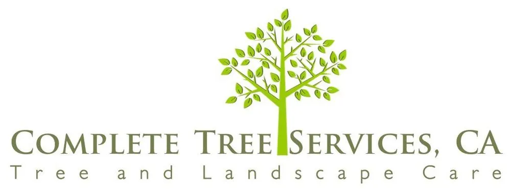Professional lawn mowing service for beautiful yards in Encinitas, CA by Complete Tree Services