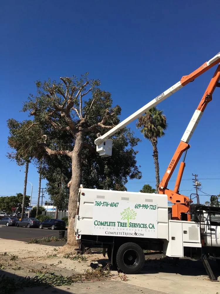 Professional residential landscaping in Encinitas, CA - Complete Tree Services