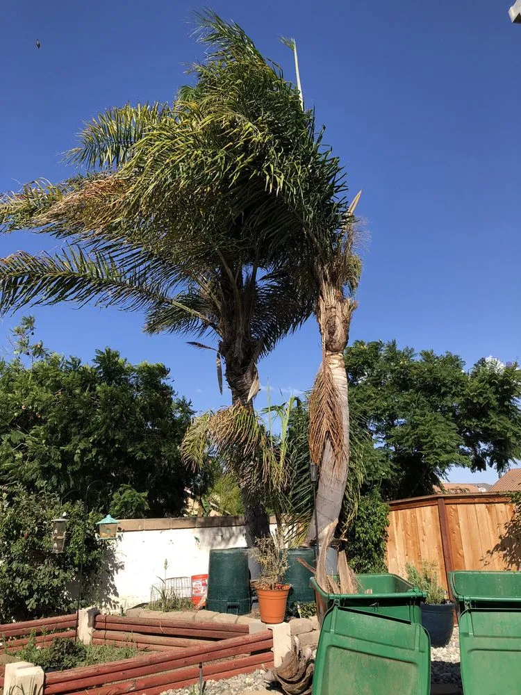 Custom landscape design near you in Encinitas, CA by Complete Tree Services