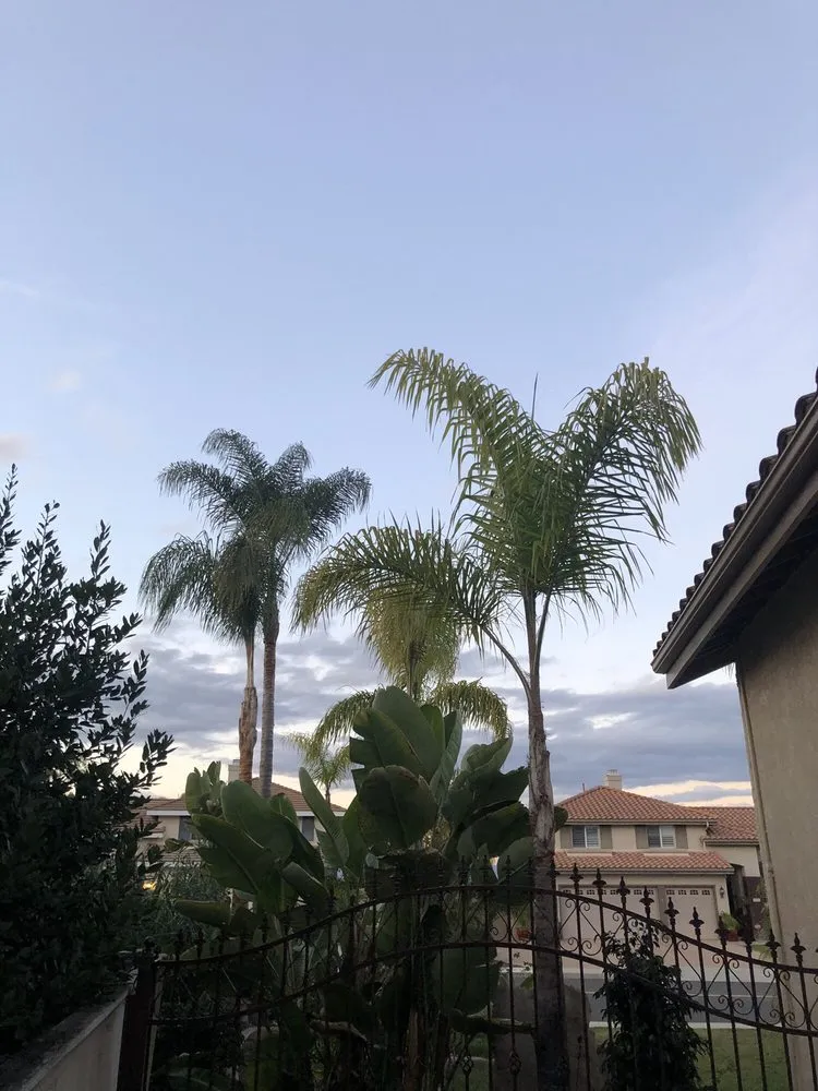 Trusted landscape installation for year-round maintenance across Encinitas, CA - Complete Tree Services