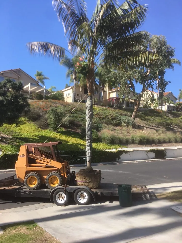 Reliable lawn mowing service experts serving Encinitas, CA - Complete Tree Services
