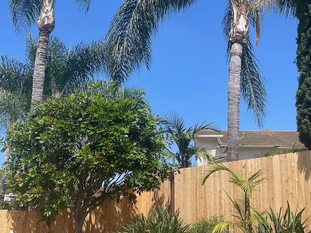 Expert landscape design in Encinitas, CA by Complete Tree Services