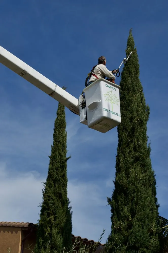 Top-rated landscape installation in Encinitas, CA - Complete Tree Services