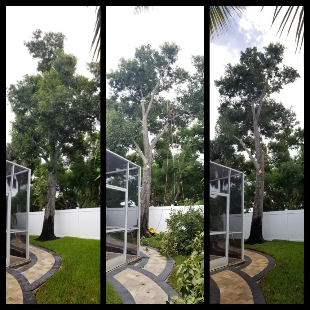 Trusted lawn mowing service for residential properties in Pinellas Park, FL by Complete Upkeep Tree Service & Pressure Washing