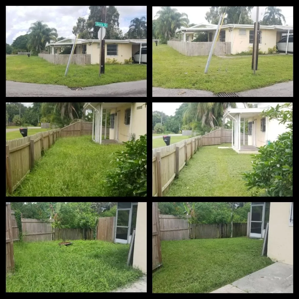 Reliable yard cleanup service in Pinellas Park, FL by Complete Upkeep Tree Service & Pressure Washing