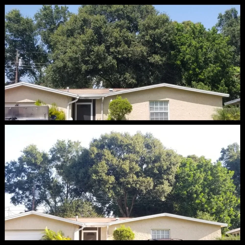 Professional outdoor landscaping in Pinellas Park, FL by Complete Upkeep Tree Service & Pressure Washing