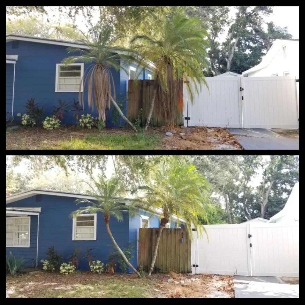 Expert garden landscaping experts serving Pinellas Park, FL - Complete Upkeep Tree Service & Pressure Washing