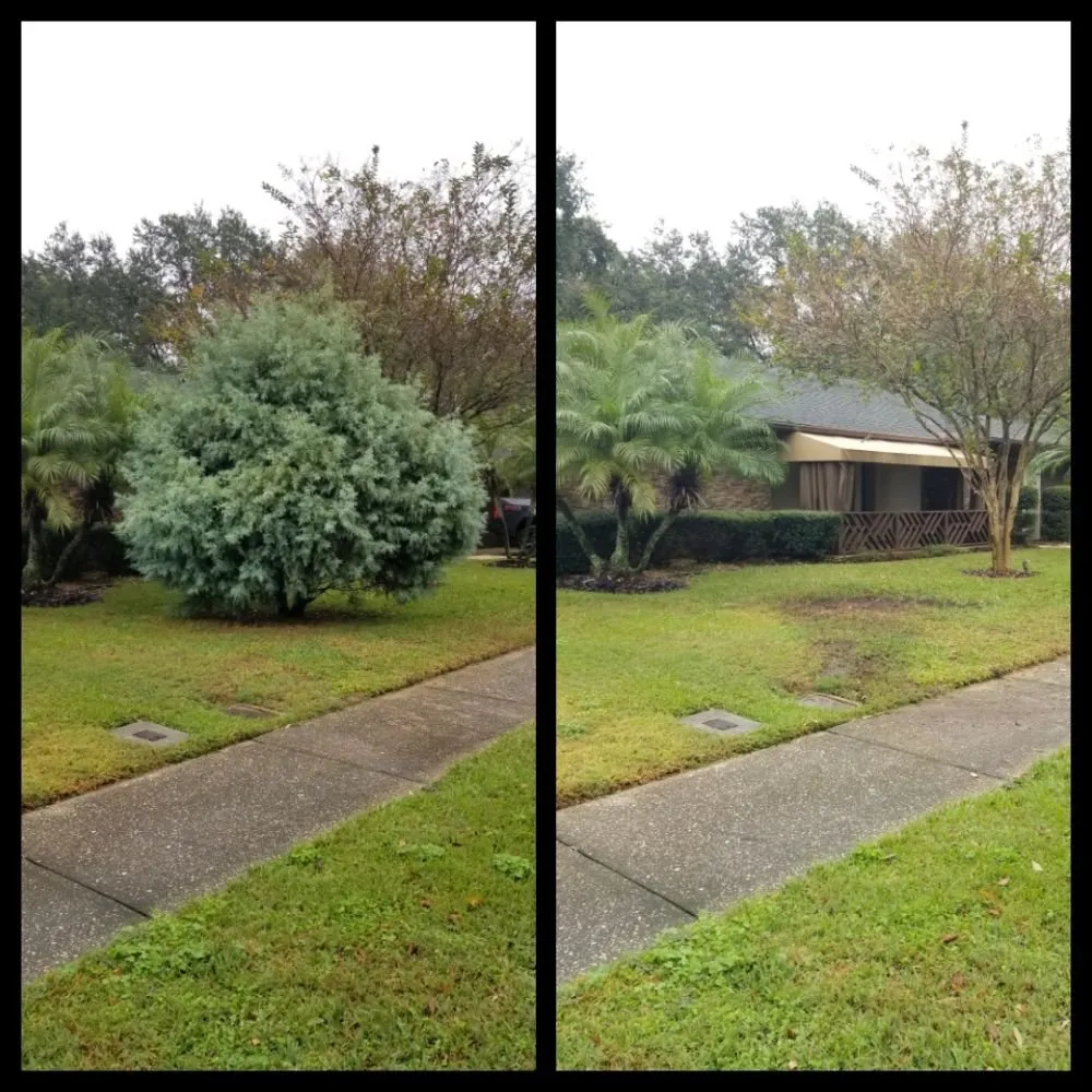 Top-rated lawn care service experts serving Pinellas Park, FL - Complete Upkeep Tree Service & Pressure Washing
