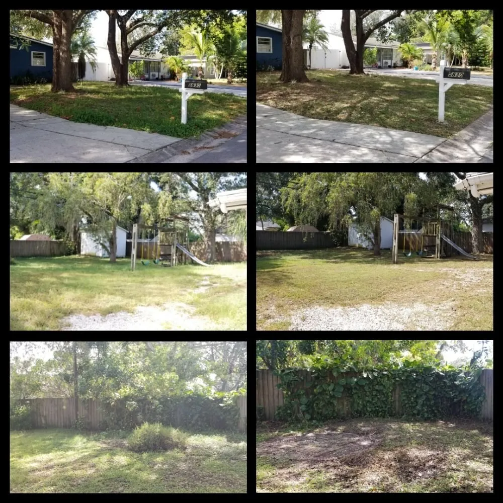 Top-rated yard cleanup service in Pinellas Park, FL by Complete Upkeep Tree Service & Pressure Washing