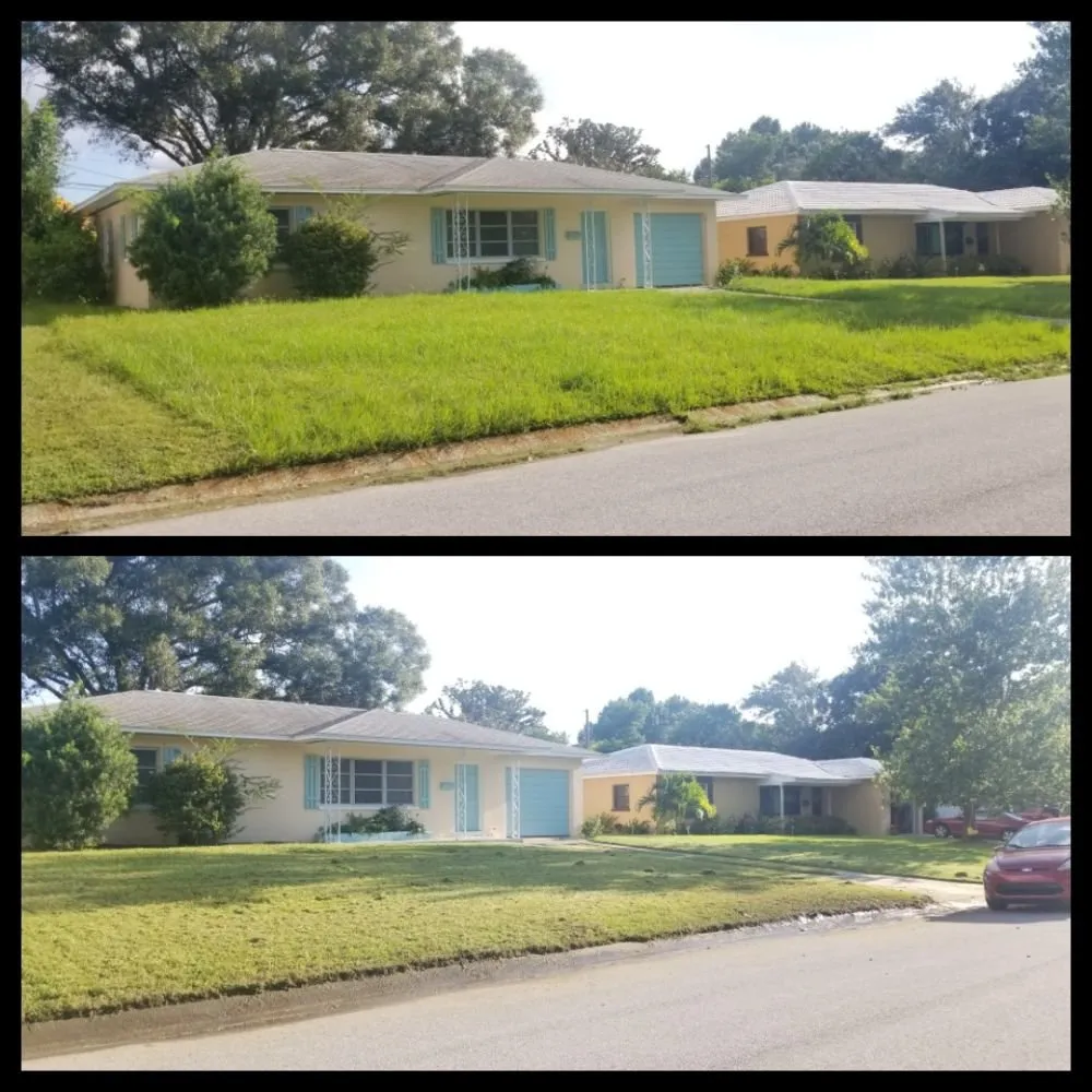 Local residential landscaping in Pinellas Park, FL - Complete Upkeep Tree Service & Pressure Washing