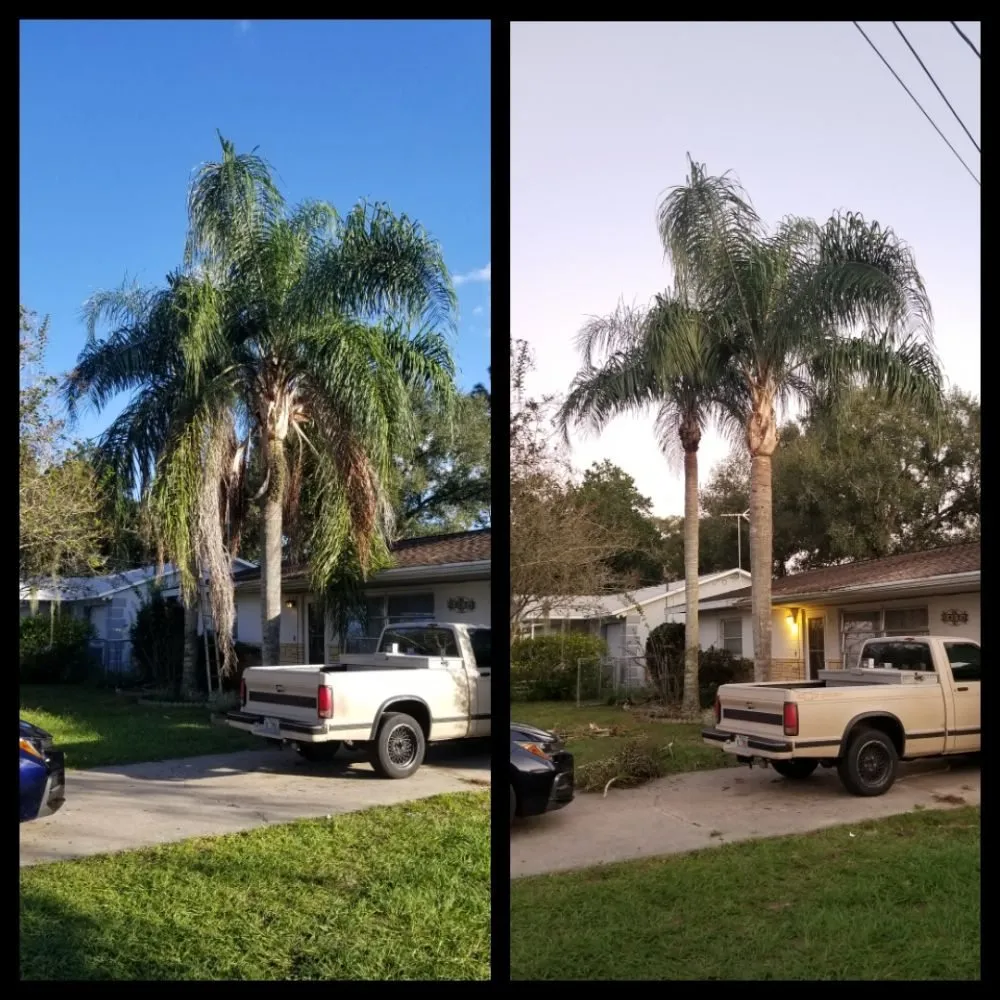 Trusted landscape installation experts serving Pinellas Park, FL - Complete Upkeep Tree Service & Pressure Washing