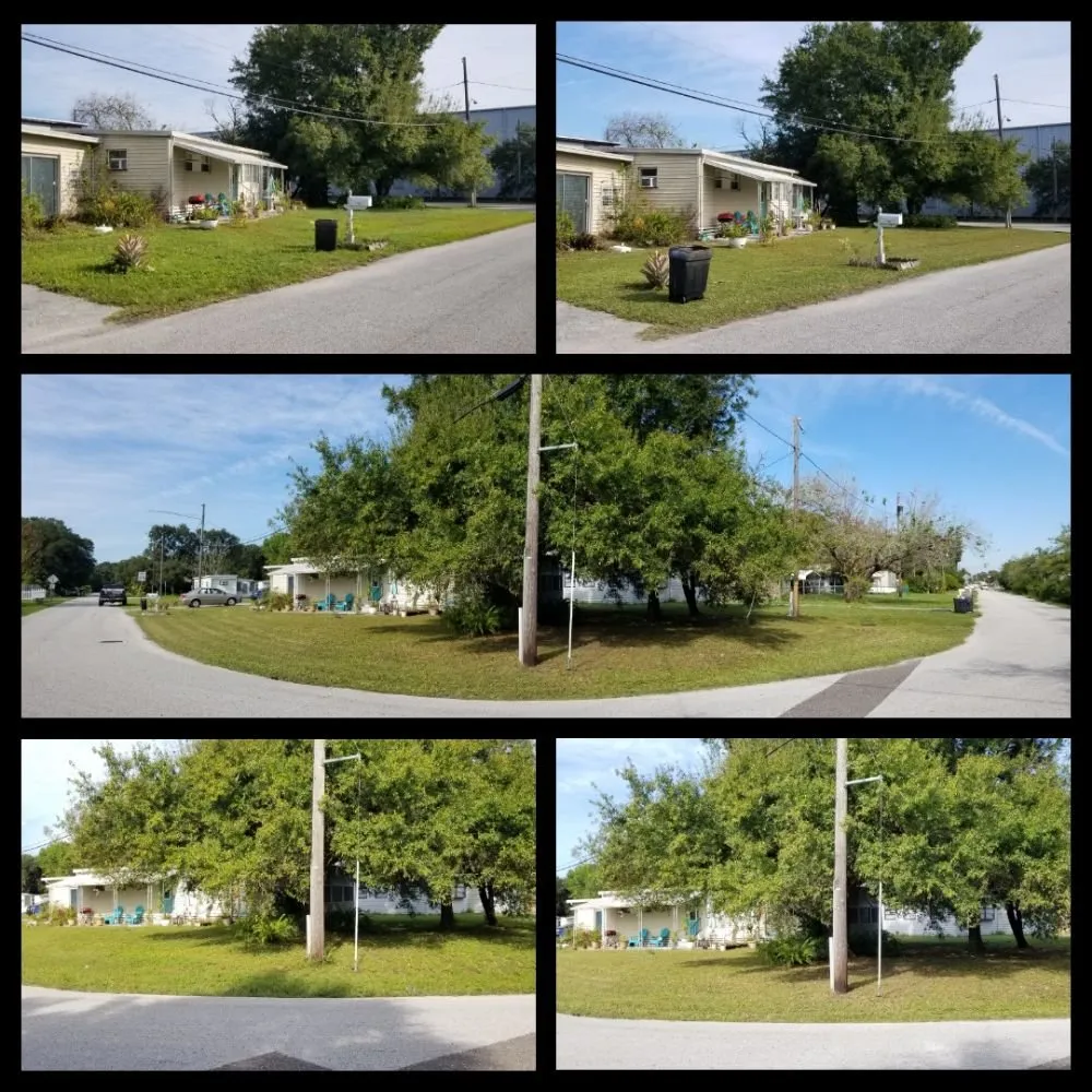 Local outdoor landscaping for homes in Pinellas Park, FL by Complete Upkeep Tree Service & Pressure Washing