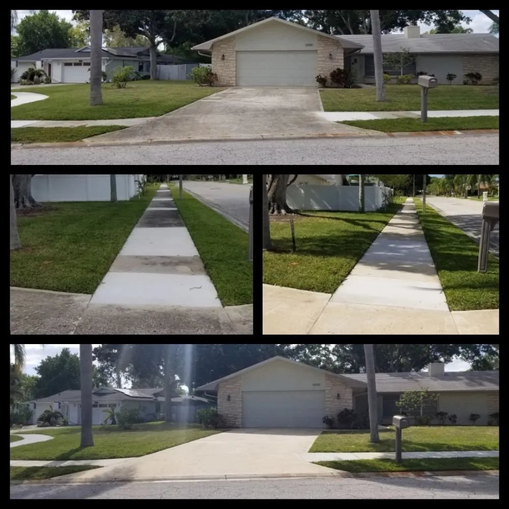 Professional garden landscaping experts serving Pinellas Park, FL - Complete Upkeep Tree Service & Pressure Washing