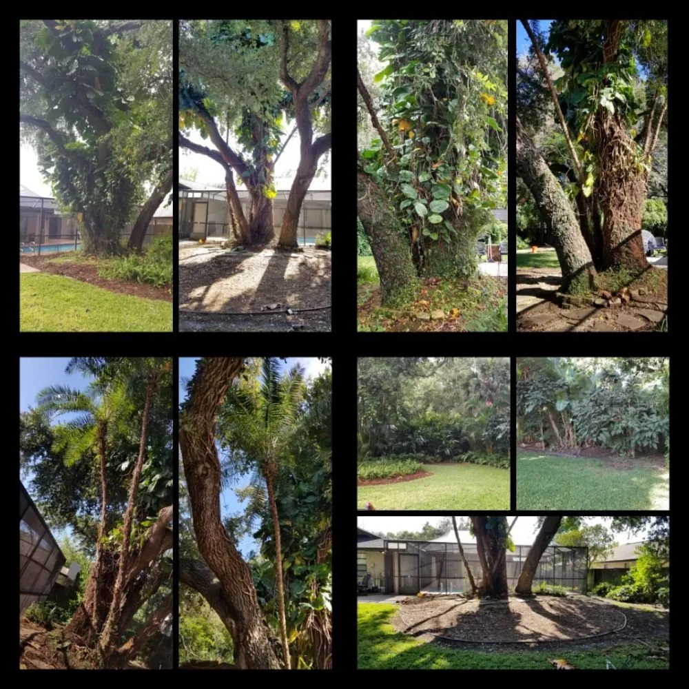 Affordable landscape installation for beautiful yards in Pinellas Park, FL by Complete Upkeep Tree Service & Pressure Washing