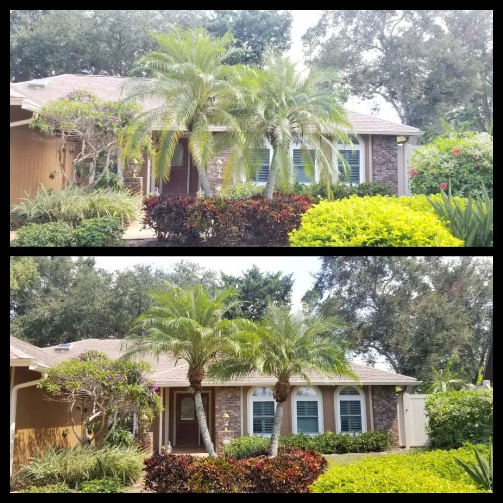 Top-rated lawn care service for homes across Pinellas Park, FL - Complete Upkeep Tree Service & Pressure Washing