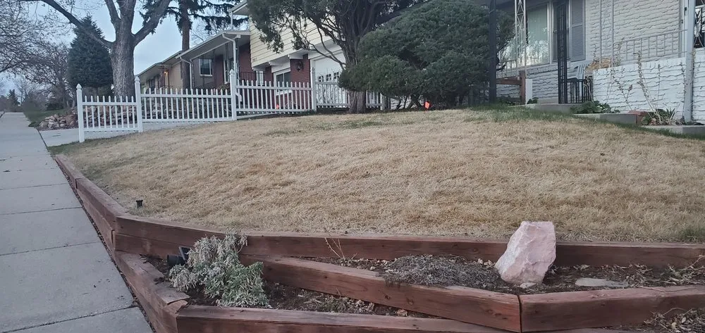 Top-rated yard cleanup service near you across Colorado Springs, CO - Complete Vision Landscaping