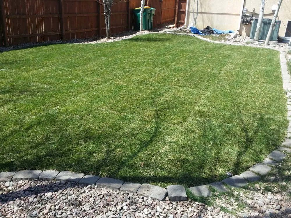 Reliable landscape installation for outdoor upgrades across Colorado Springs, CO - Complete Vision Landscaping