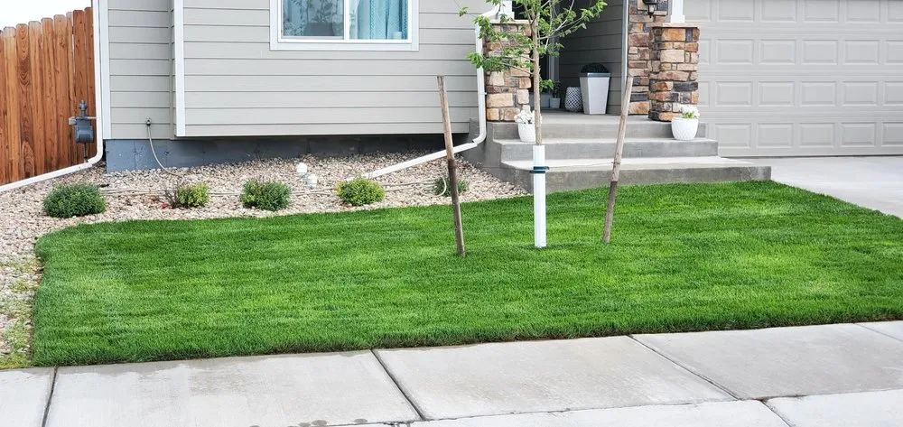 Reliable landscape installation experts serving Colorado Springs, CO - Complete Vision Landscaping