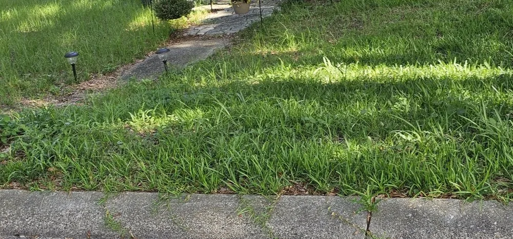 Affordable landscape installation for homes in Pensacola, FL by Complete Yard Care & Home Maintenance