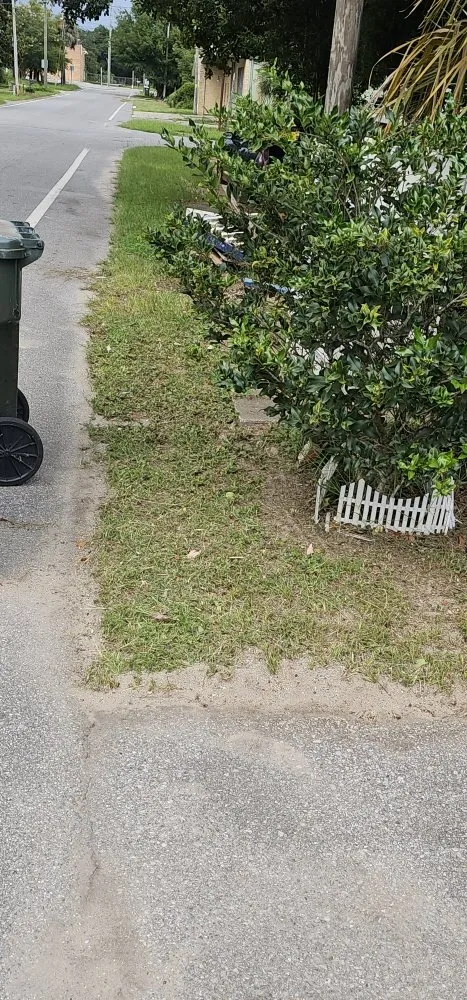 Professional yard cleanup service in Pensacola, FL by Complete Yard Care & Home Maintenance