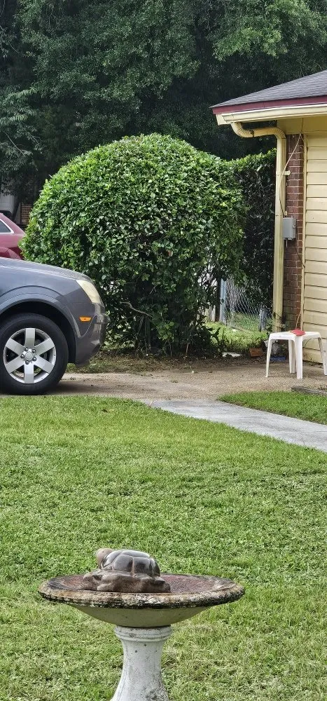 Affordable outdoor landscaping in Pensacola, FL - Complete Yard Care & Home Maintenance