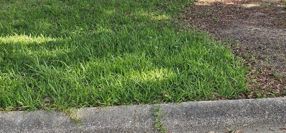 Top-rated yard maintenance in Pensacola, FL - Complete Yard Care & Home Maintenance