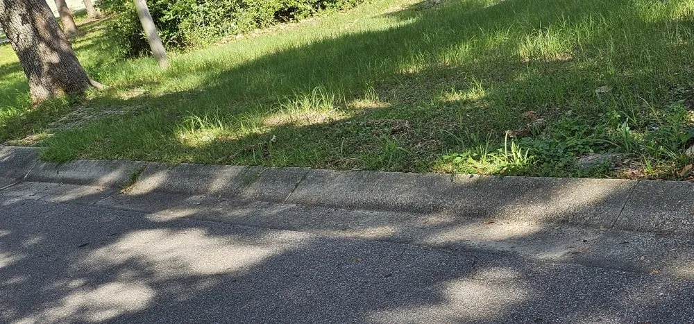 Expert landscape design with custom design in Pensacola, FL by Complete Yard Care & Home Maintenance